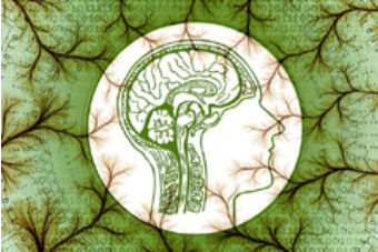 Panika. Reakcje fizjologiczne.